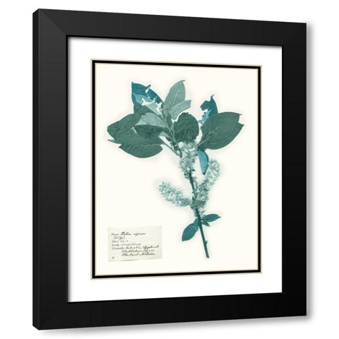 Pressed Flowers in Spa I Black Modern Wood Framed Art Print with Double Matting by Vision Studio