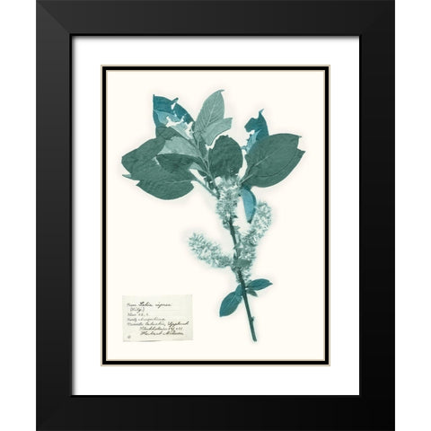 Pressed Flowers in Spa I Black Modern Wood Framed Art Print with Double Matting by Vision Studio