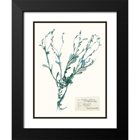 Pressed Flowers in Spa II Black Modern Wood Framed Art Print with Double Matting by Vision Studio