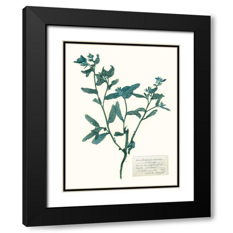 Pressed Flowers in Spa III Black Modern Wood Framed Art Print with Double Matting by Vision Studio