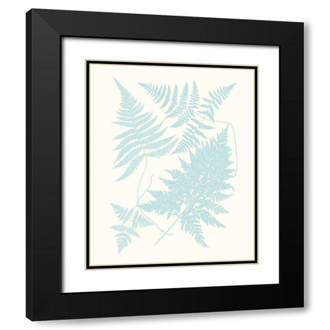 Serene Ferns IV Black Modern Wood Framed Art Print with Double Matting by Vision Studio