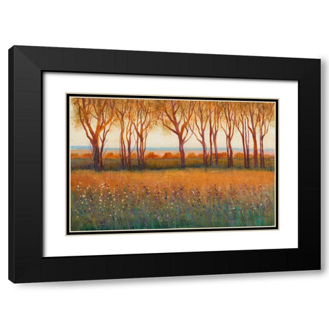 Glow in the Afternoon I Black Modern Wood Framed Art Print with Double Matting by OToole, Tim