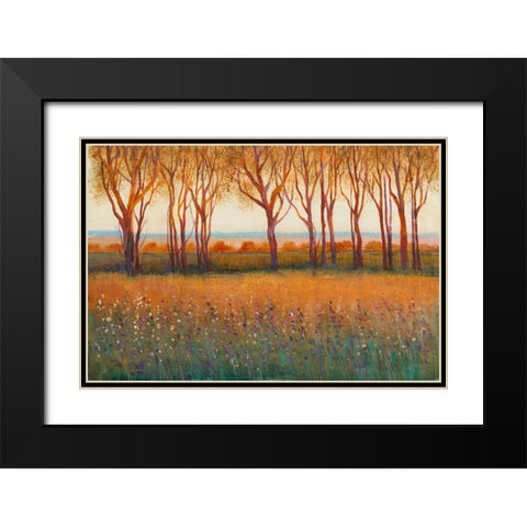 Glow in the Afternoon I Black Modern Wood Framed Art Print with Double Matting by OToole, Tim