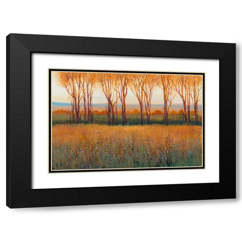 Glow in the Afternoon II Black Modern Wood Framed Art Print with Double Matting by OToole, Tim