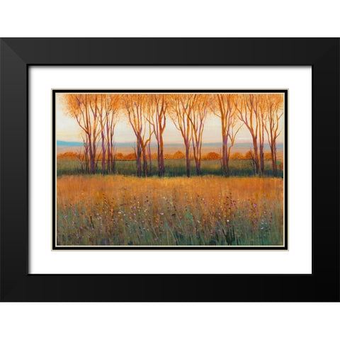 Glow in the Afternoon II Black Modern Wood Framed Art Print with Double Matting by OToole, Tim