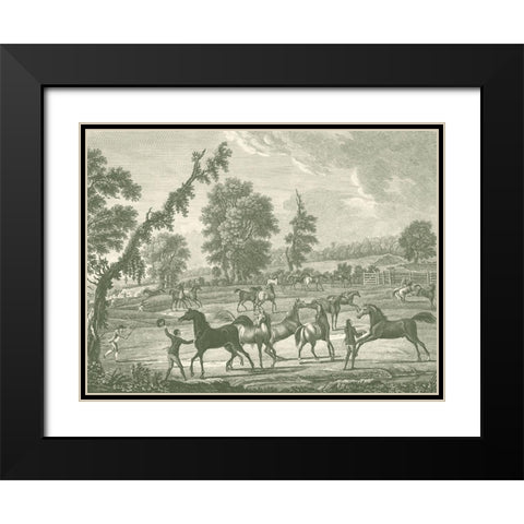 Equestrian Scenes III Black Modern Wood Framed Art Print with Double Matting by Vision Studio