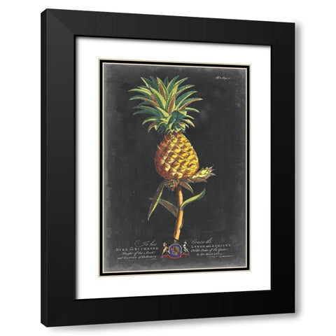 Dramatic Royal Botanical II Black Modern Wood Framed Art Print with Double Matting by Ehret, George