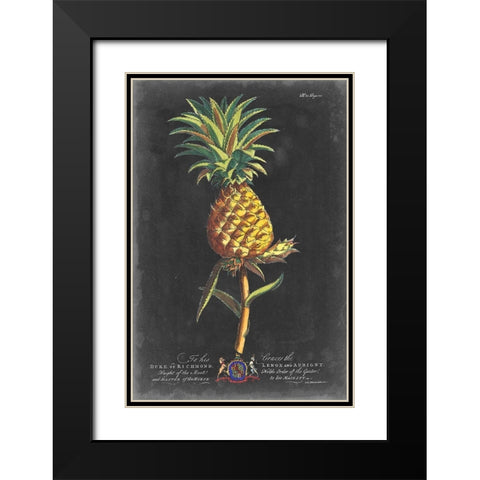 Dramatic Royal Botanical II Black Modern Wood Framed Art Print with Double Matting by Ehret, George