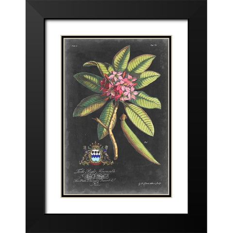 Dramatic Royal Botanical V Black Modern Wood Framed Art Print with Double Matting by Ehret, George