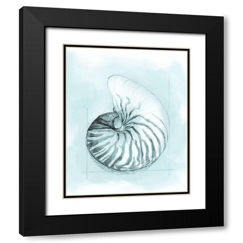 Coastal Shell Schematic II Black Modern Wood Framed Art Print with Double Matting by Meagher, Megan