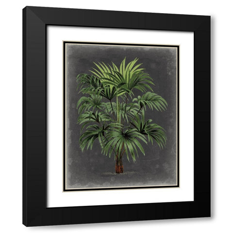 Dramatic Palm I Black Modern Wood Framed Art Print with Double Matting by Vision Studio