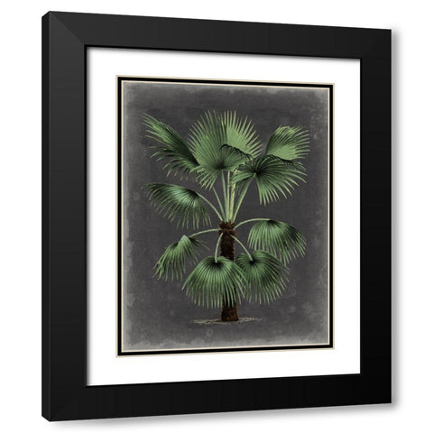 Dramatic Palm II Black Modern Wood Framed Art Print with Double Matting by Vision Studio