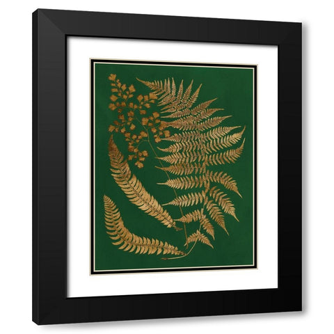 Gilded Ferns I Black Modern Wood Framed Art Print with Double Matting by Vision Studio