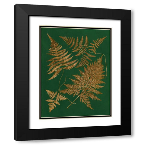 Gilded Ferns II Black Modern Wood Framed Art Print with Double Matting by Vision Studio