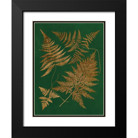 Gilded Ferns II Black Modern Wood Framed Art Print with Double Matting by Vision Studio