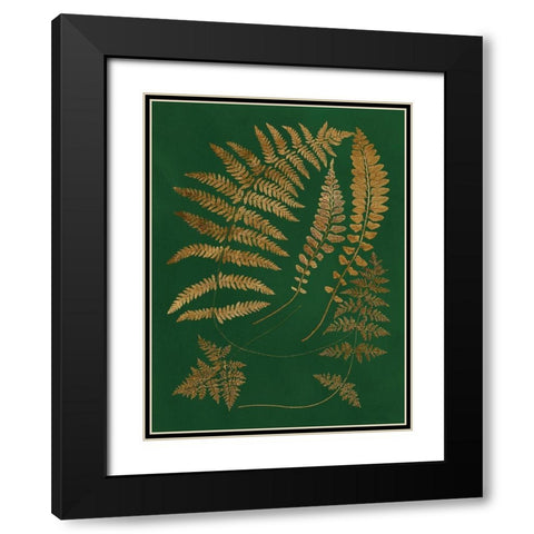 Gilded Ferns III Black Modern Wood Framed Art Print with Double Matting by Vision Studio