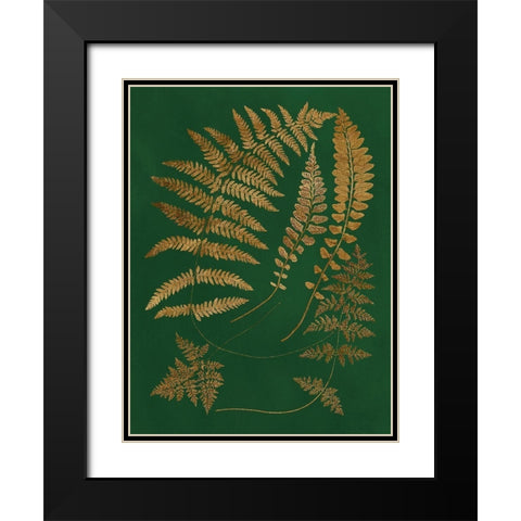 Gilded Ferns III Black Modern Wood Framed Art Print with Double Matting by Vision Studio