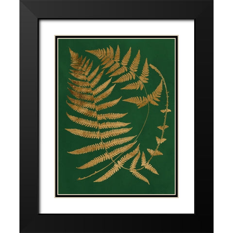 Gilded Ferns IV Black Modern Wood Framed Art Print with Double Matting by Vision Studio