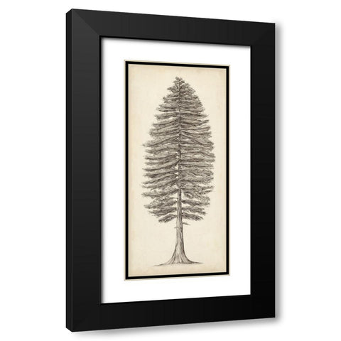 Pacific Northwest Tree Sketch II Black Modern Wood Framed Art Print with Double Matting by Wang, Melissa