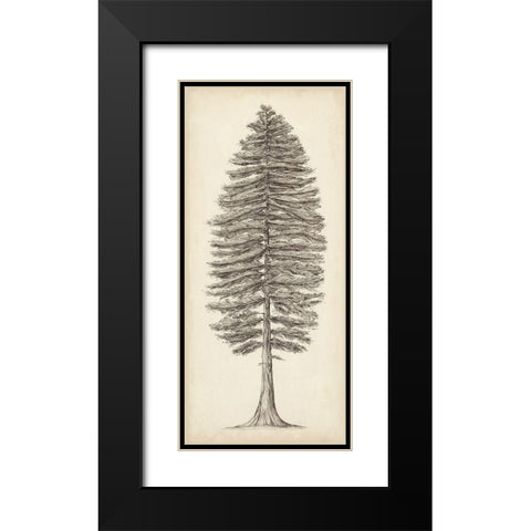 Pacific Northwest Tree Sketch II Black Modern Wood Framed Art Print with Double Matting by Wang, Melissa