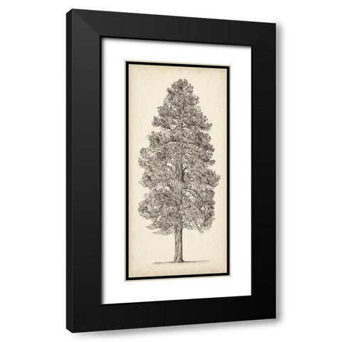 Pacific Northwest Tree Sketch III Black Modern Wood Framed Art Print with Double Matting by Wang, Melissa