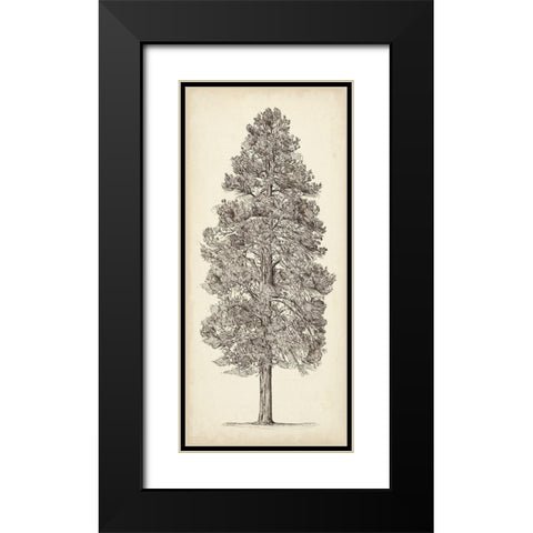 Pacific Northwest Tree Sketch III Black Modern Wood Framed Art Print with Double Matting by Wang, Melissa