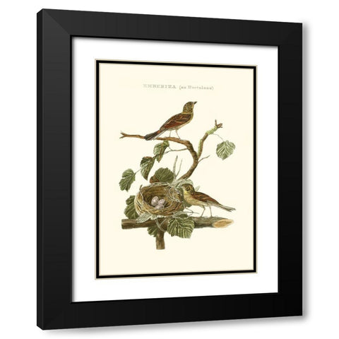Nozeman Common Teal Nest Black Modern Wood Framed Art Print with Double Matting by Nozeman