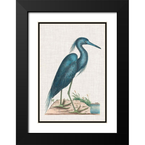 Catesby Heron II Black Modern Wood Framed Art Print with Double Matting by Catesby, Mark