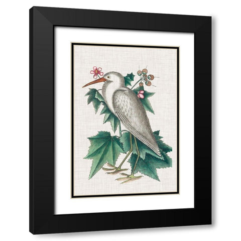 Catesby Heron III Black Modern Wood Framed Art Print with Double Matting by Catesby, Mark