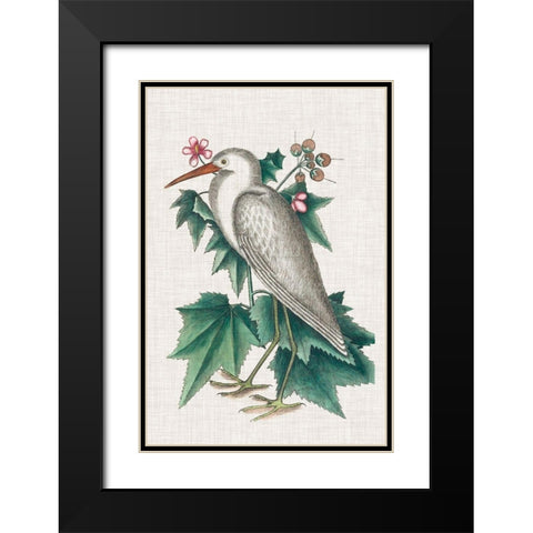 Catesby Heron III Black Modern Wood Framed Art Print with Double Matting by Catesby, Mark