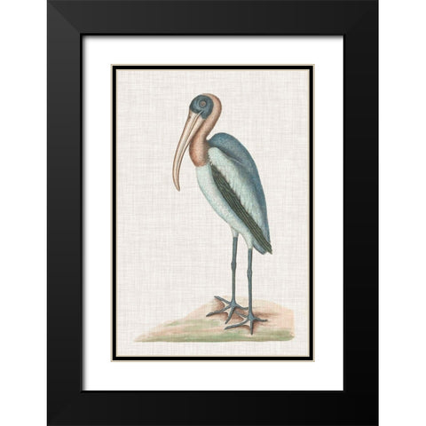 Catesby Heron IV Black Modern Wood Framed Art Print with Double Matting by Catesby, Mark