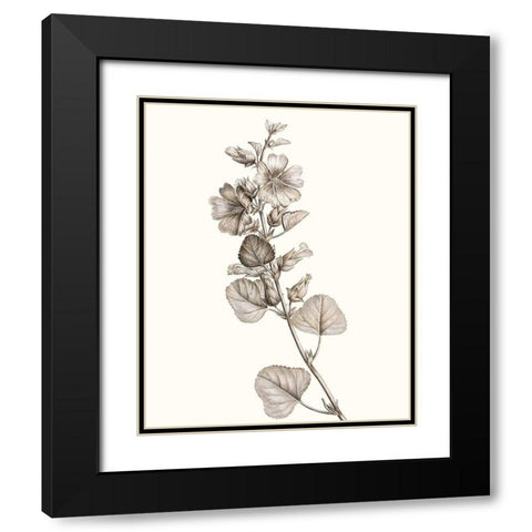 Neutral Botanical Study I Black Modern Wood Framed Art Print with Double Matting by Vision Studio