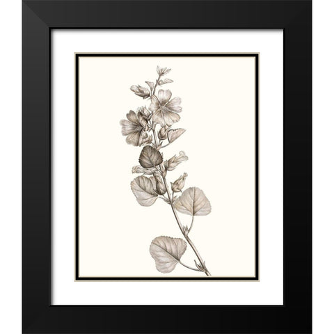 Neutral Botanical Study I Black Modern Wood Framed Art Print with Double Matting by Vision Studio