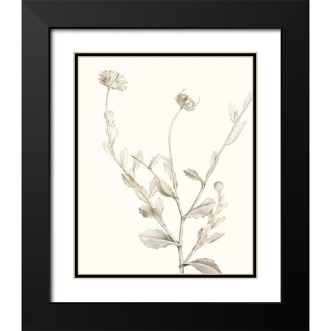 Neutral Botanical Study IV Black Modern Wood Framed Art Print with Double Matting by Vision Studio