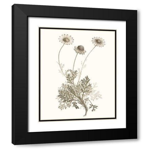 Neutral Botanical Study VIII Black Modern Wood Framed Art Print with Double Matting by Vision Studio