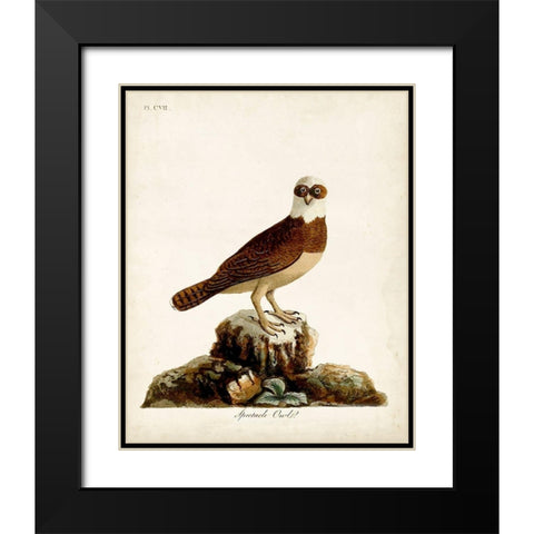 Spectacle Owl Black Modern Wood Framed Art Print with Double Matting by Latham, John