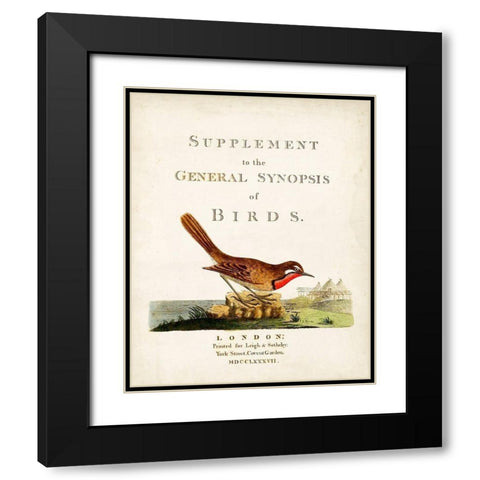 General Synopsis of Birds Black Modern Wood Framed Art Print with Double Matting by Latham, John