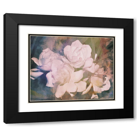 Blush Gardenia Beauty I Black Modern Wood Framed Art Print with Double Matting by Chandler, Sharon