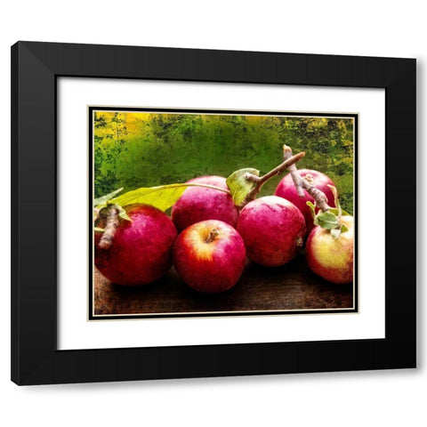 The Harvest I Black Modern Wood Framed Art Print with Double Matting by Perry, Rachel