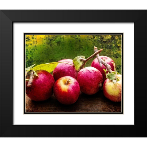 The Harvest I Black Modern Wood Framed Art Print with Double Matting by Perry, Rachel