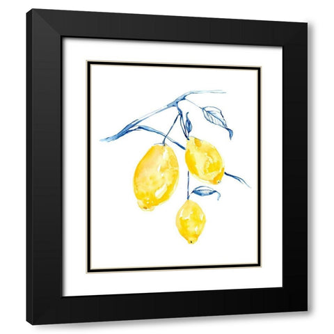 Watercolor Lemons I Black Modern Wood Framed Art Print with Double Matting by Goldberger, Jennifer
