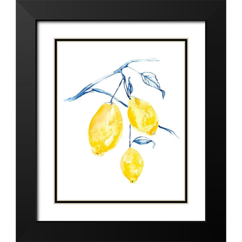Watercolor Lemons I Black Modern Wood Framed Art Print with Double Matting by Goldberger, Jennifer