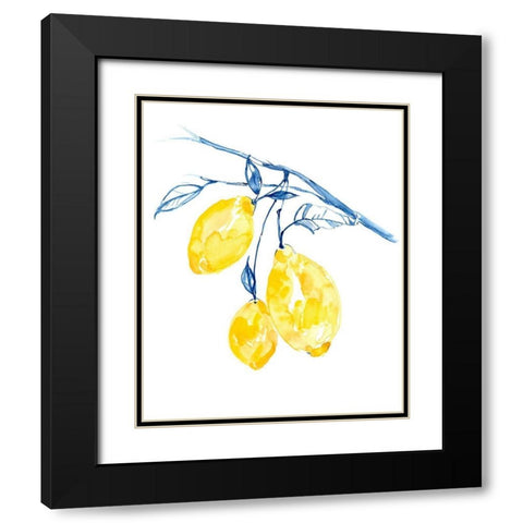 Watercolor Lemons II Black Modern Wood Framed Art Print with Double Matting by Goldberger, Jennifer