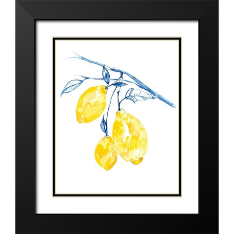 Watercolor Lemons II Black Modern Wood Framed Art Print with Double Matting by Goldberger, Jennifer