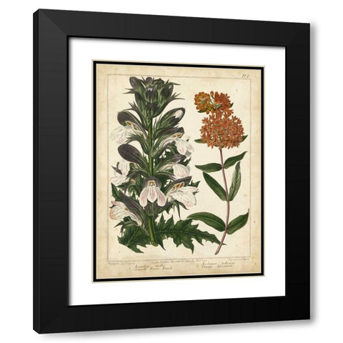 Non-Embellish Enchanted Garden IV Black Modern Wood Framed Art Print with Double Matting by Edwards, Sydenham