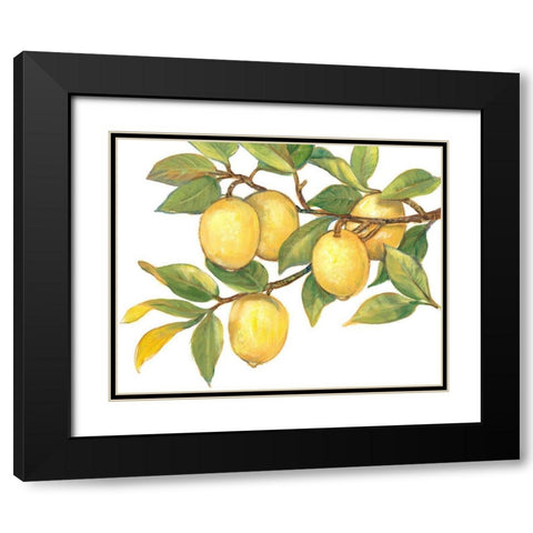 Ripe for Picking I Black Modern Wood Framed Art Print with Double Matting by OToole, Tim
