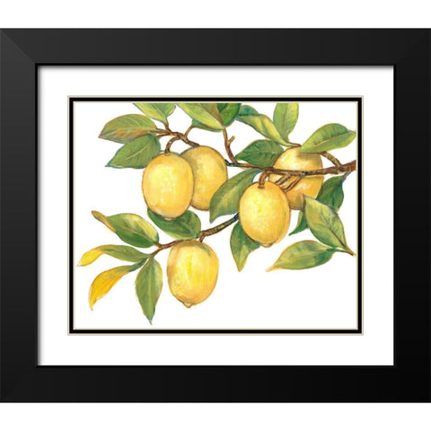 Ripe for Picking I Black Modern Wood Framed Art Print with Double Matting by OToole, Tim