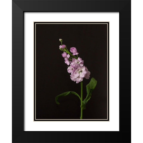 Dark and Dreamy II Black Modern Wood Framed Art Print with Double Matting by Stramel, Renee W.