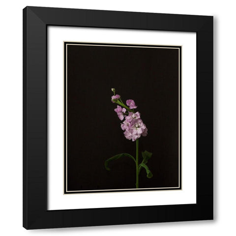 Dark and Dreamy III Black Modern Wood Framed Art Print with Double Matting by Stramel, Renee W.
