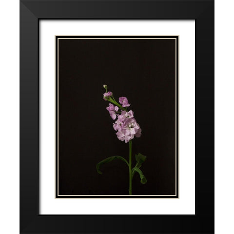 Dark and Dreamy III Black Modern Wood Framed Art Print with Double Matting by Stramel, Renee W.